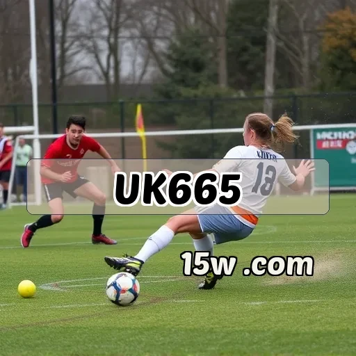 uk665.com: O Melhor Bingo Online Para Aumentar Seu Jogo e Diversão